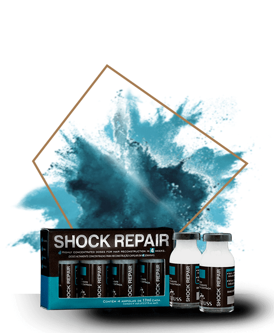 SHOCK REPAIR TRUSS PROFESSIONAL
